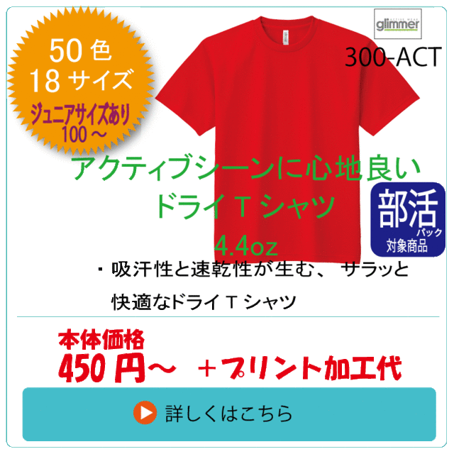 オリジナルtシャツ　ドライ300ACT