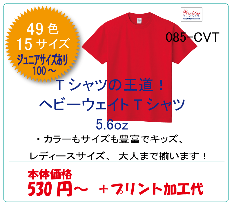 49色、15サイズから選べるヘビーウェイトTシャツ 【オリジナル工房】